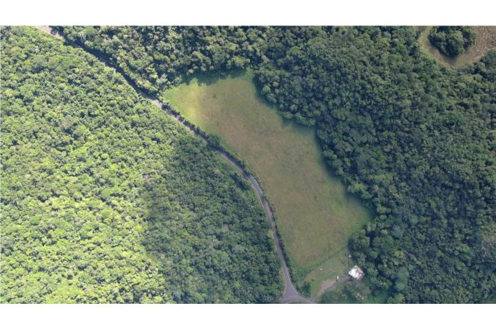 270 Cuerdas Arecibo - Acceso PR-628