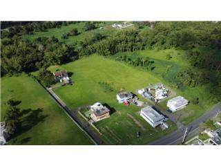 Cayey: 15 unidades en 5 cuerdas