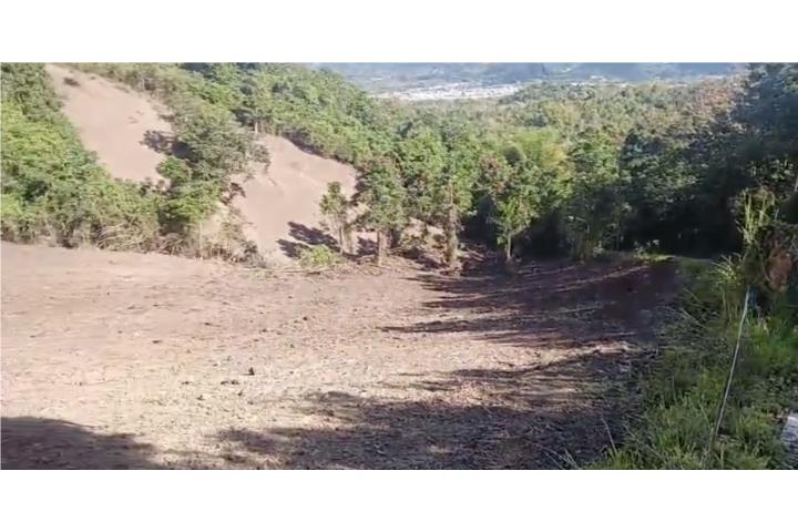 2 Cuerdas Gurabo - Financiamien por dueño