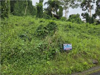 Terreno en Barrio Jimenez