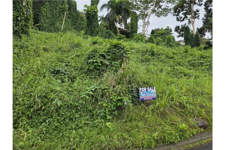 Terreno Barrio Jimenez