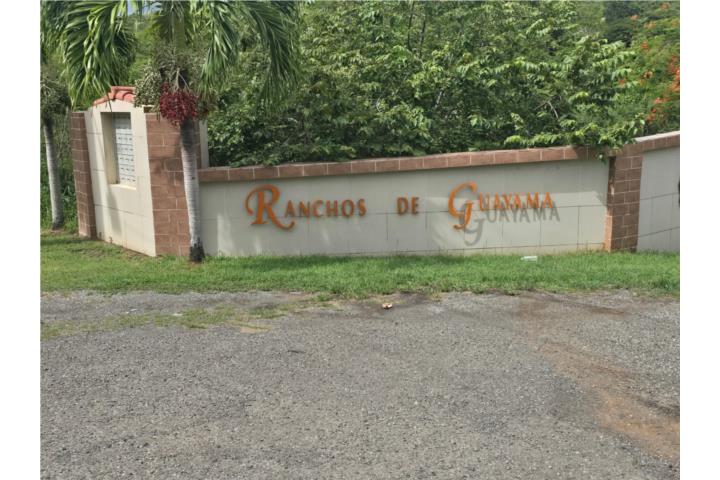 5 CUERDAS-A 15 MIN ALBERGUE OLÍMPICO