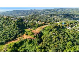 43 Cuerdas de terreno en Quebrada Arenas