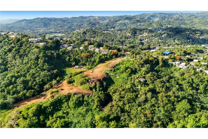43 Cuerdas de terreno en Quebrada Arenas