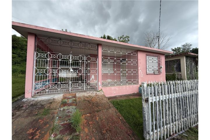 Propiedad consiste de un lot de 304 metros cuadrados con dos estucturas.