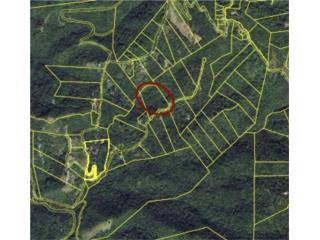 FINCA DE CASI 5 CUERDAS, BRISAS DE JAJOME