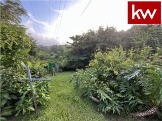 BO. FRONT�N, FINCAS EN CIALES
