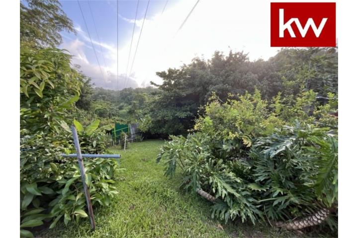 BO. FRONTÓN, FINCAS EN CIALES