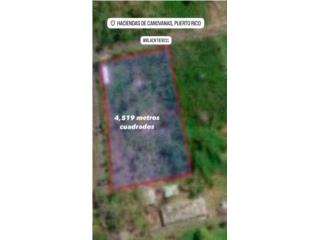 ENTRADA PRINCIPAL PUEBLO FAJARDO