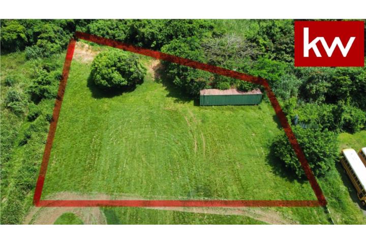 BO. HATO ARRIBA, TERRENO EN ARECIBO