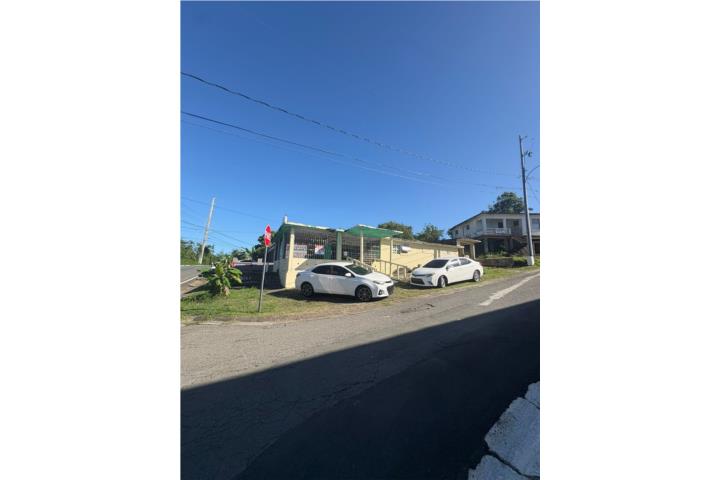 Fajardo: Carretera 55 Cabezas de San Juan sec