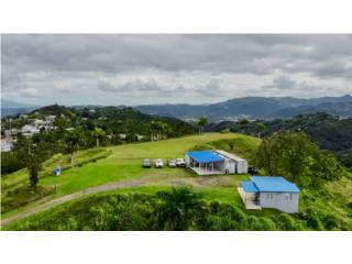 Finca 47 cuerdas Bo. Ca�aboncito 