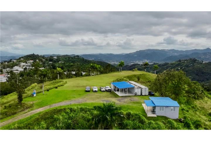 Finca 47 cuerdas Bo. Cañaboncito