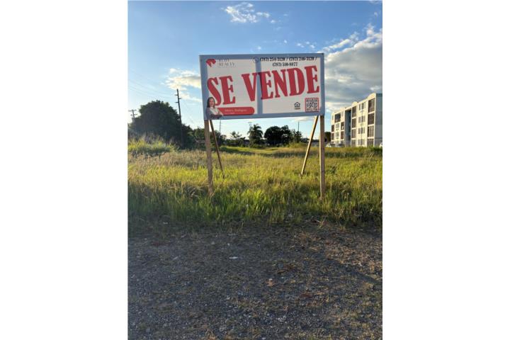 Terreno 1 cuerda carr 311 km 0.2 Cabo Rojo