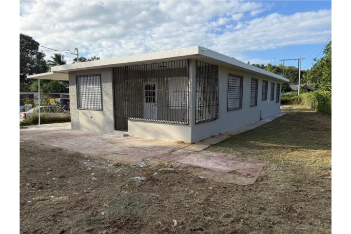 COMM. KENNEDY (Bo. Domingo Ruiz)- Arecibo