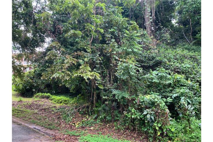 Bo. Jiménez 4,103 metros, Carretera 966 km 3.