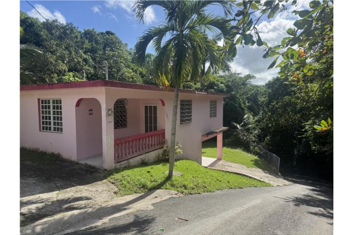 Bo. Santa Catalina Sector El Ortiz