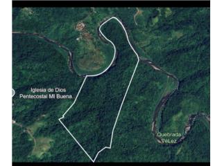 Finca de 189.35 cuerdas en Las Mar�as 