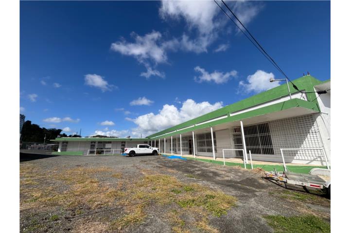 MIRADOR ECHEVARRIA AVE. ALEJANDRO C/ B, CAYEY