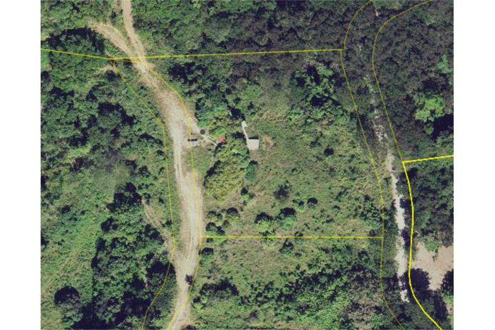 Finca Barrio Jajome Alto