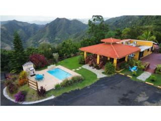 BO. Pulguillas, Carr. 723, Coamo, P.R.