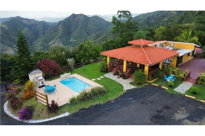 BO. Pulguillas, Carr. 723, Coamo, P.R.