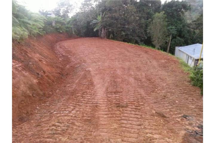 Lote 1k m/2. Barrio Cedro Arriba plano $29k