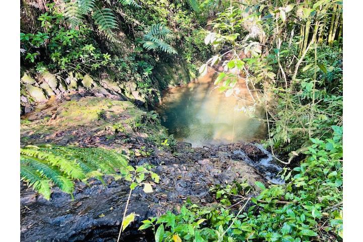 Preciosa Finca de 30 cds. con rio y 3 casas