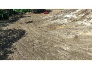 2.71 CUERDAS A , NUEVO PRECIO @J@