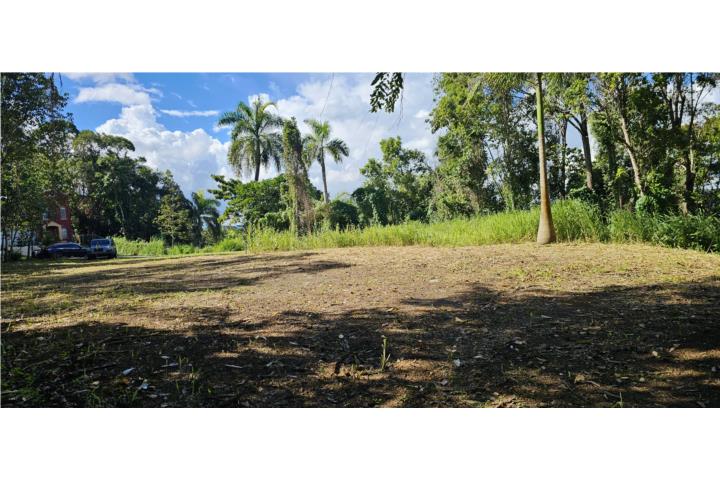 Bo. Las Vegas, calle Quinto Patio (7)