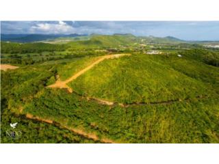 Finca con alto potencial de desarrollo