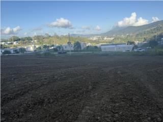 Financiado por dueño  totalmente llano
