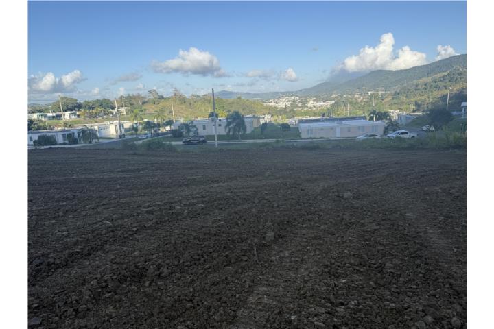 Financiado por dueño