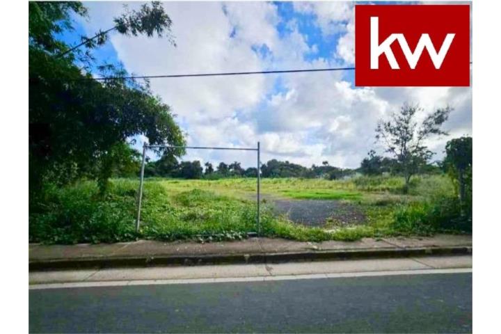 BO. DEMAJAGUA, TERRENO EN FAJARDO