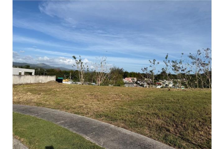 Urbanización Garden Village:Acceso Controlado