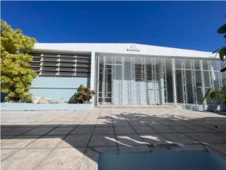 Galeria