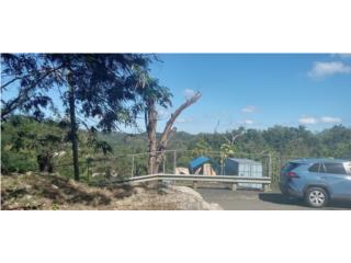 Barrio Cielito en Cotorno