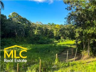 Finca privada con riachuelo