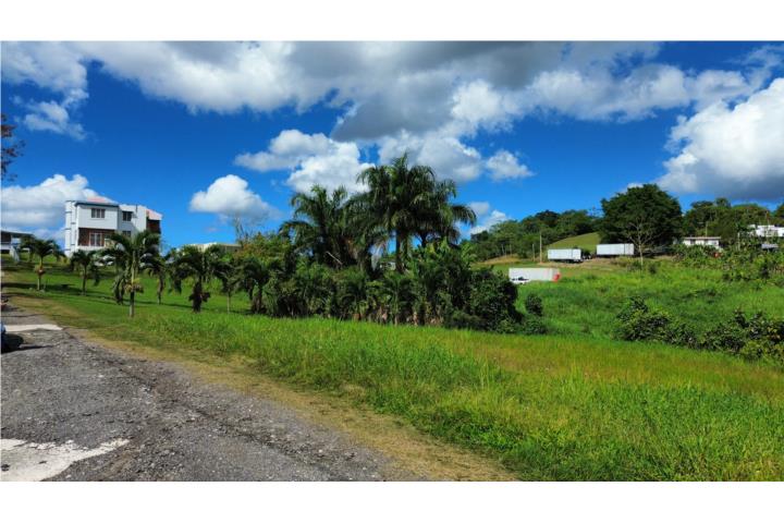 Se vende solar de 731.