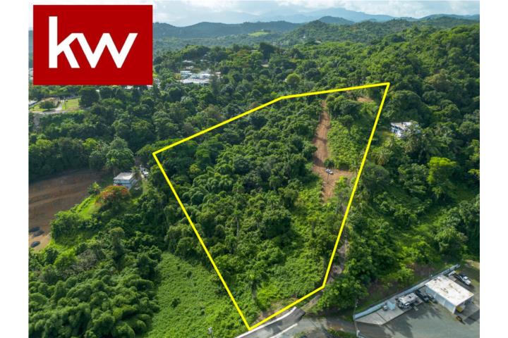 ¡Haz realidad tus sueños hoy! Ubicación: Bo.