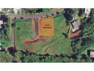 Lote residencial en Aguas Buenas