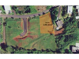 Lote Residencial en Aguas Buenas