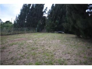 EXCELENTE SOLAR URB. HACIENDAS DE BORRIQUEN