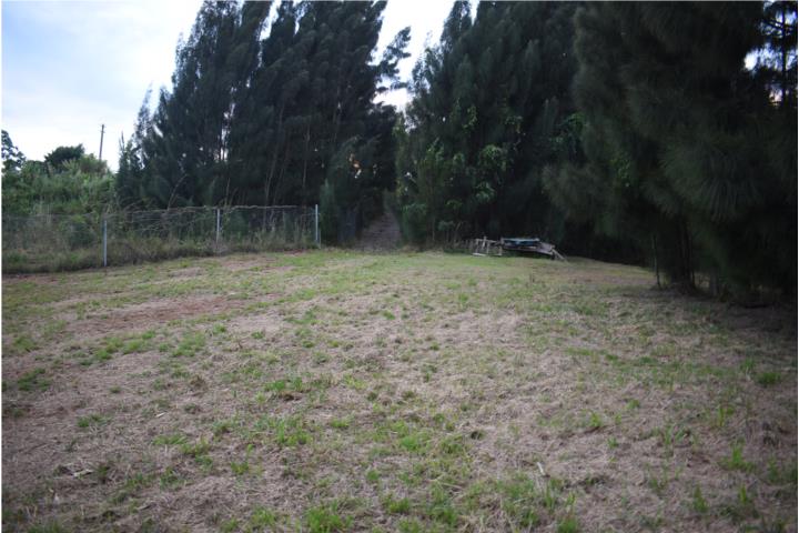 10 Fotos