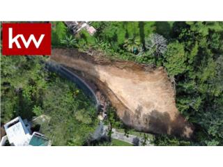 BO. HATO NUEVO, TERRENO EN GUAYNABO