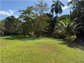 Your ideal space in the middle of nature