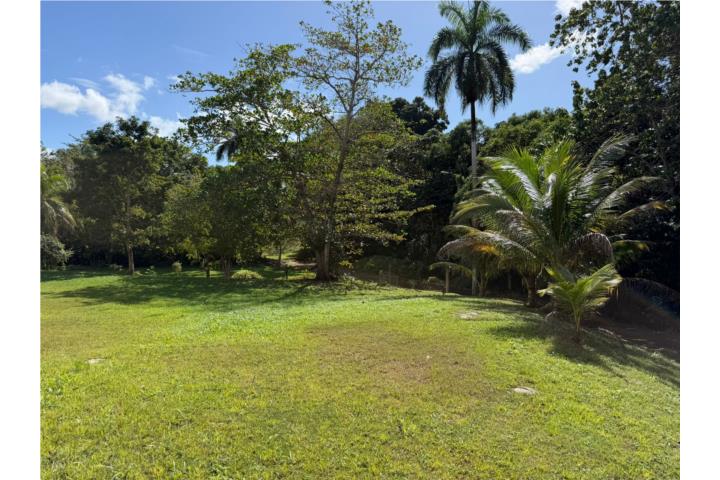 Prop ID: F-0687 Spacious Lot in Bo.