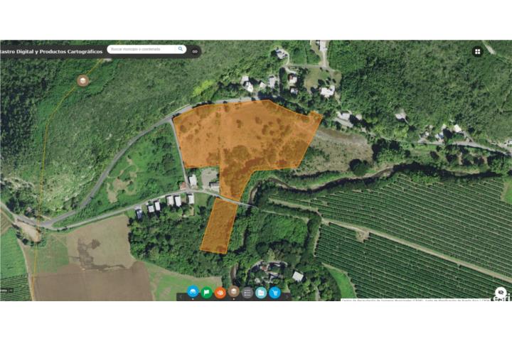 Colindando con los terrenos de Tropical Fruits y bien cercano a la playa.