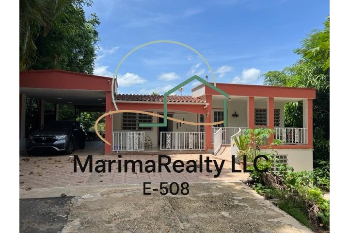 7 Fotos