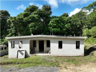 For Sale- House with 90 Acres in San Lorenzo